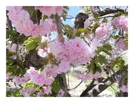 036.webp