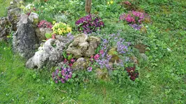 IMG_5675.webp