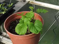 DSCF3752.webp
