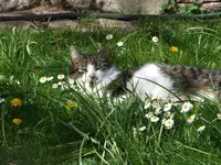 DSCF3746.webp