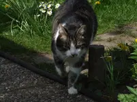 DSCF3747.webp