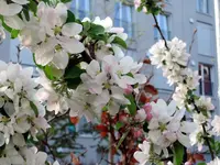 DSCN5234.2.webp