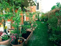 DSCN5221.3.webp