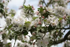 IMG_6279.webp