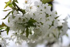 IMG_6300.webp