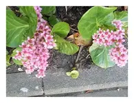 117.webp