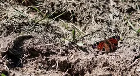 15.04 (56) (Kopie).webp