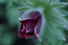 15.04 (88) (Kopie).webp