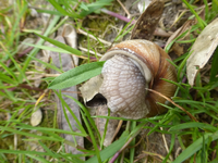 P1340812.webp