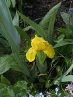 DSCN2247.webp