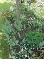 DSCN2240.jpg