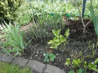 DSCN2239.webp