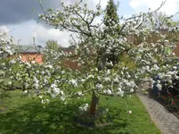 DSCN2236.webp