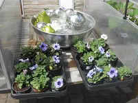 DSCN2233.webp