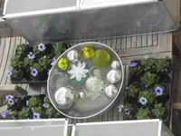 DSCN2227.webp