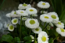 IMG_6913.webp