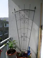 SDC12452.webp