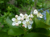 P1340517.webp