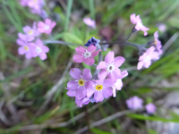 P1340839.webp