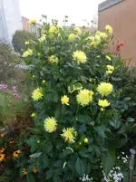 DSCN1904.webp