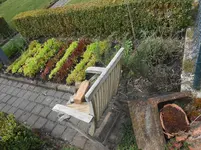 DSCN2248.webp