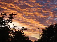 wolke.webp