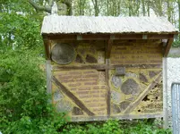 Bienenhotel.webp