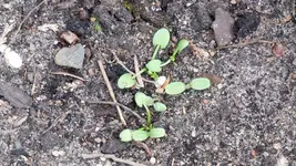 P1090251.webp
