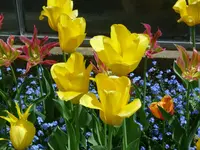 T1050942.webp