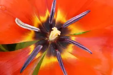T1050946.webp