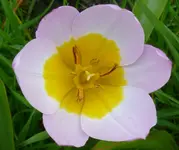 T1060089.webp