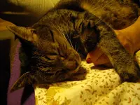 IMGP2179 (1024x768).webp