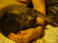 IMGP2181 (1024x768).webp
