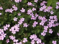 BILD2820.webp