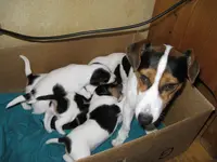 010_1024x768.webp