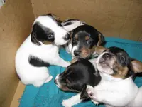 011_1024x768.webp
