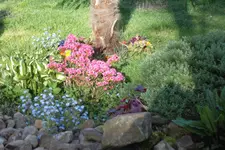 SAM_0605.webp