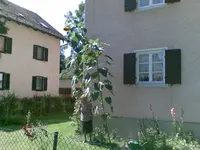 24082009(001).webp