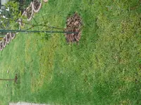 P1080890.webp