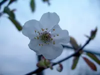 IMGP7339.webp