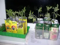 IMGP7342.webp