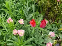k-P1080877.webp