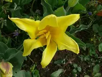 k-P1080881.webp