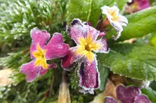 DSCF0717.webp