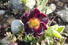 DSCF0719.webp