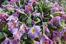 DSCF0722.webp
