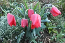 DSCF0727.webp