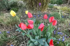 DSCF0728.webp