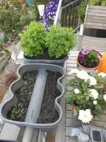 DSCN2229.webp