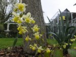 DSCF9973.jpg